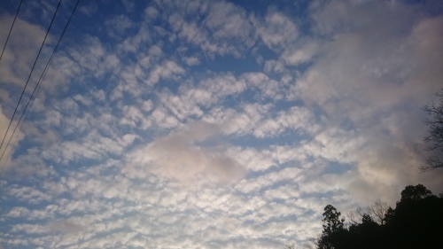 e0145441_01073412.jpg