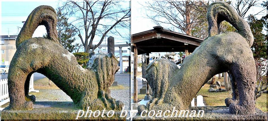 「伊達神社」2　狛犬（伊達市）_a0315942_23301868.jpg