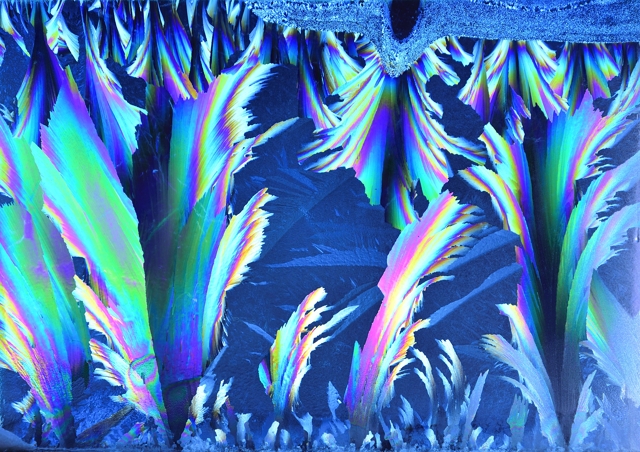 ガラス窓に霜の華が咲く : 気ままな時間を ゆったりと