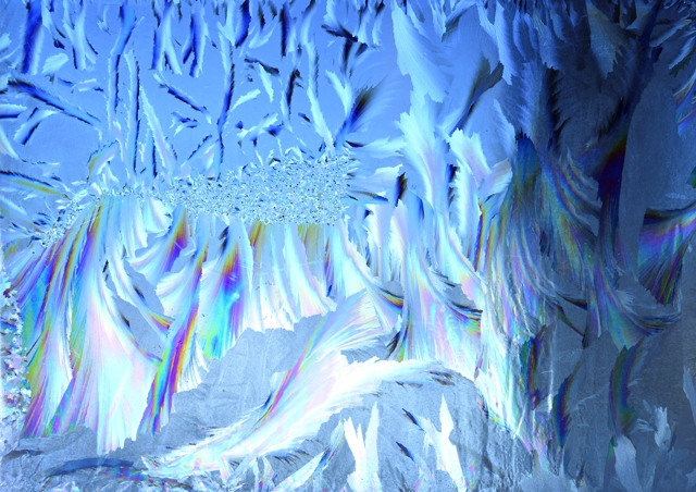ガラス窓に霜の華が咲く 気ままな時間を ゆったりと