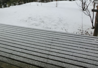 「少雪」でした_f0019247_1734119.jpg
