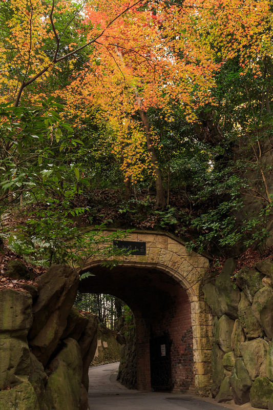 京都の紅葉2015・アサヒビール大山崎山荘美術館の日本庭園_f0155048_23302630.jpg