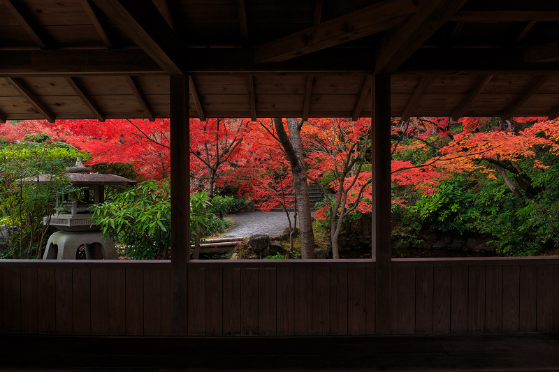 京都の紅葉2015・アサヒビール大山崎山荘美術館の日本庭園_f0155048_2330640.jpg