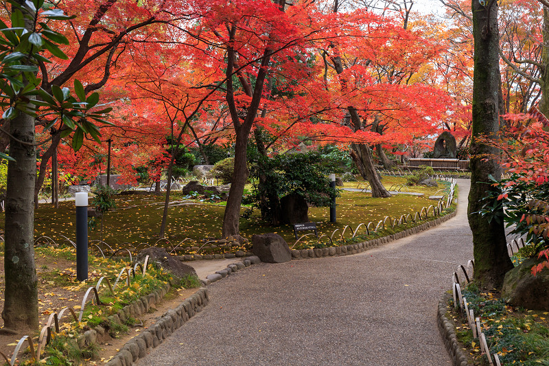 京都の紅葉2015・アサヒビール大山崎山荘美術館の日本庭園_f0155048_23311385.jpg