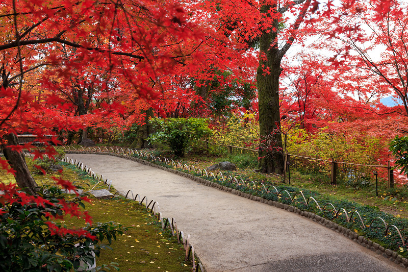 京都の紅葉2015・アサヒビール大山崎山荘美術館の日本庭園_f0155048_23312628.jpg