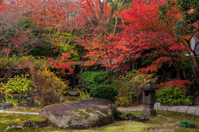 京都の紅葉2015・アサヒビール大山崎山荘美術館の日本庭園_f0155048_2332131.jpg