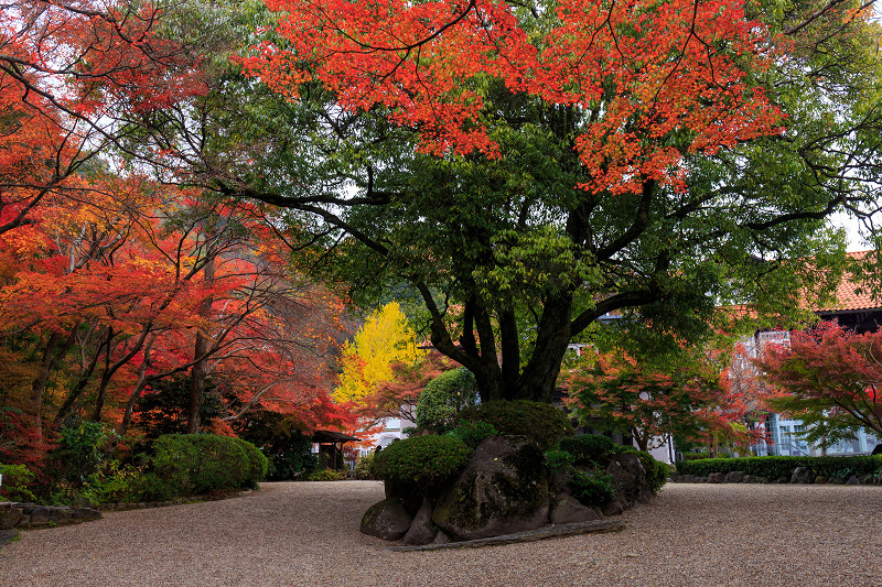 京都の紅葉2015・アサヒビール大山崎山荘美術館の日本庭園_f0155048_23322386.jpg