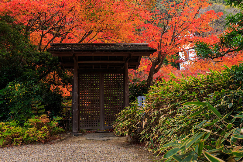 京都の紅葉2015・アサヒビール大山崎山荘美術館の日本庭園_f0155048_23323398.jpg