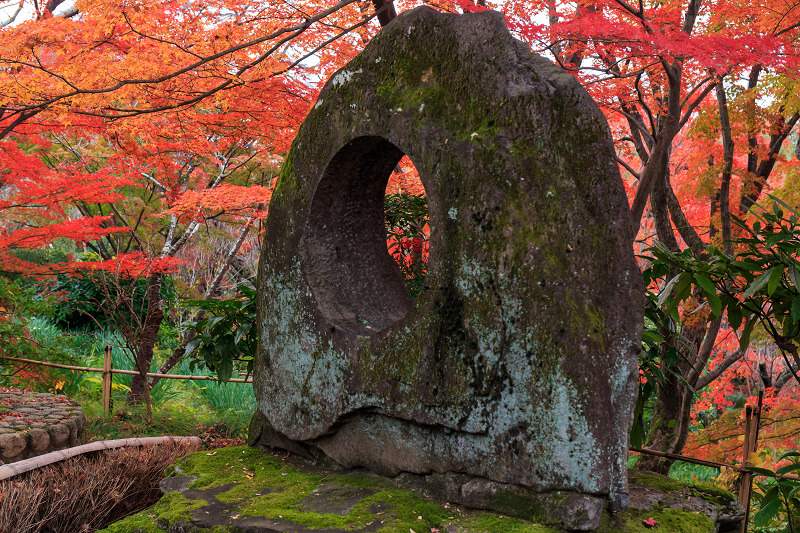 京都の紅葉2015・アサヒビール大山崎山荘美術館の日本庭園_f0155048_2332450.jpg