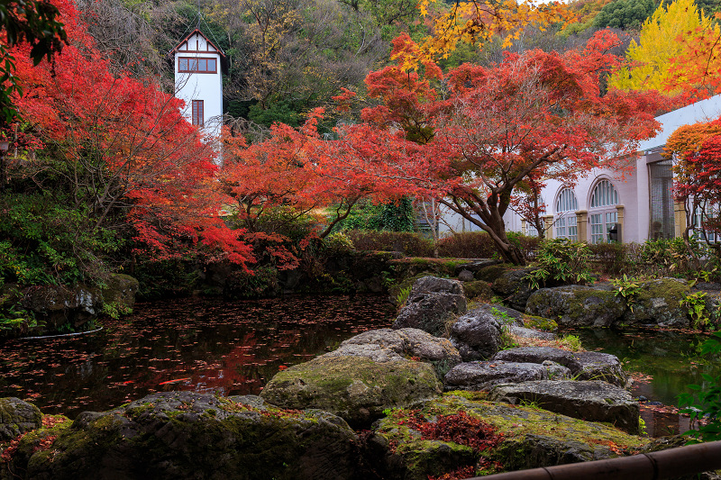 京都の紅葉2015・アサヒビール大山崎山荘美術館の日本庭園_f0155048_2333141.jpg