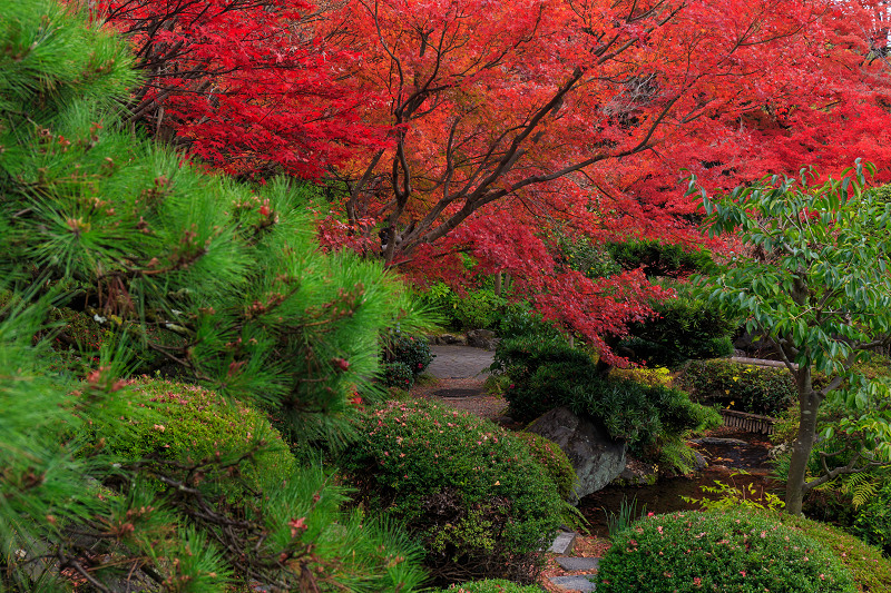 京都の紅葉2015・アサヒビール大山崎山荘美術館の日本庭園_f0155048_23335788.jpg