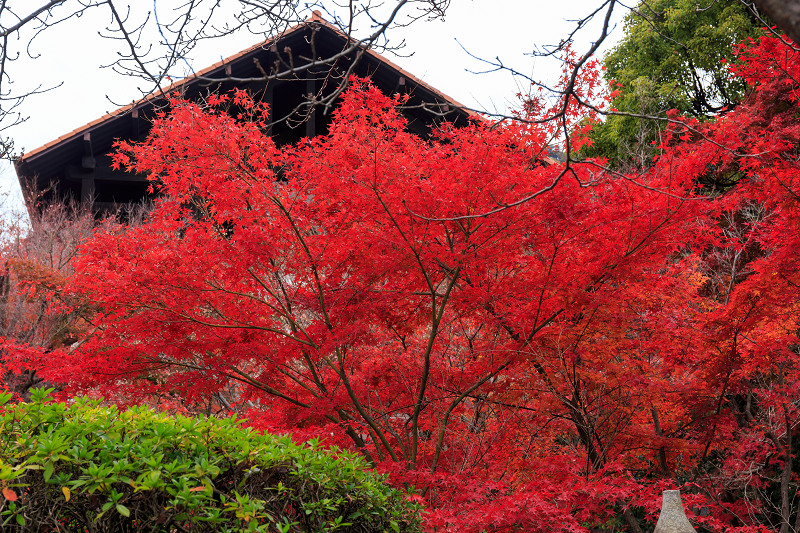 京都の紅葉2015・アサヒビール大山崎山荘美術館の日本庭園_f0155048_23342658.jpg