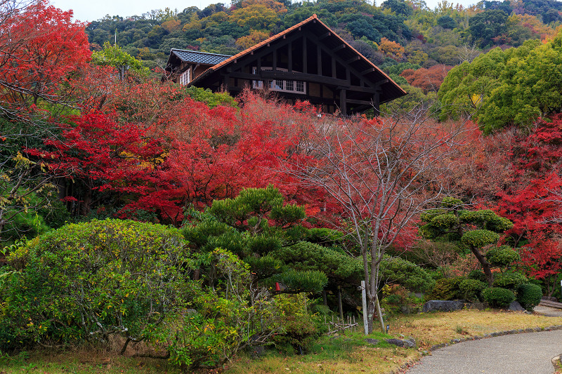 京都の紅葉2015・アサヒビール大山崎山荘美術館の日本庭園_f0155048_23345985.jpg