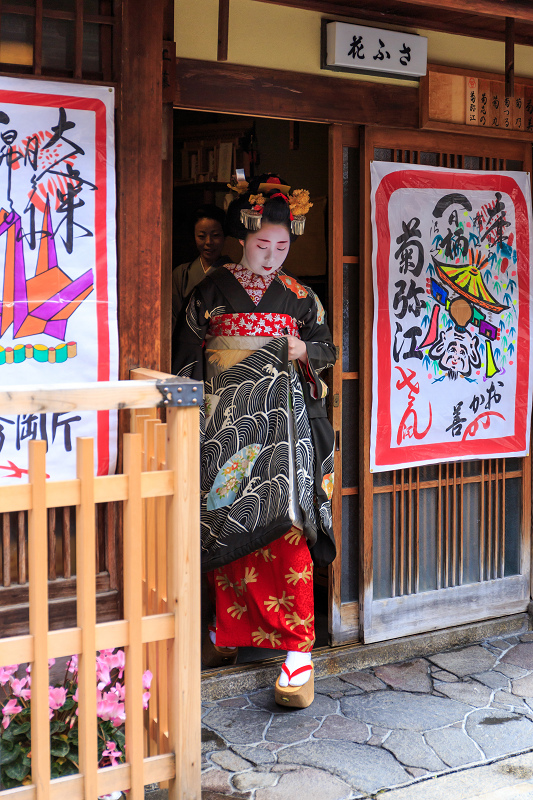 菊弥江さんお見世出し（宮川町）_f0155048_23554562.jpg