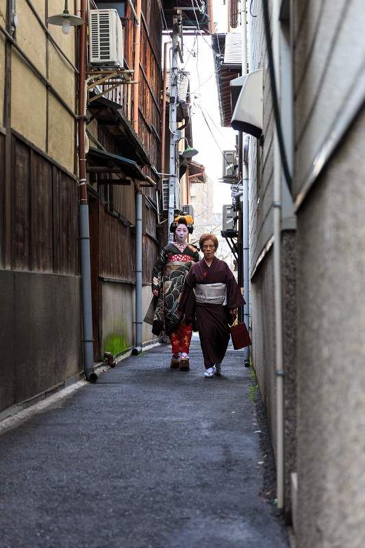 菊弥江さんお見世出し（宮川町）_f0155048_2358276.jpg