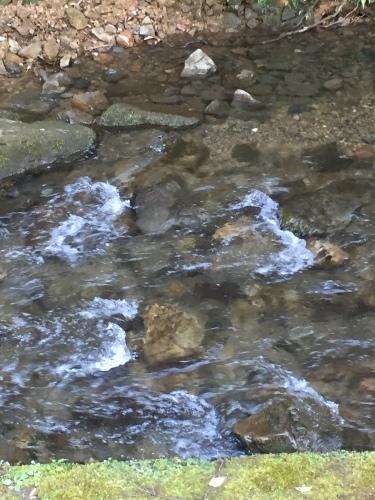 d0347251_14181887.jpeg