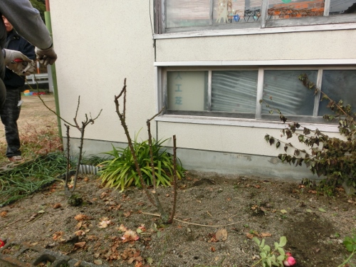 c0328559_1727442.jpg