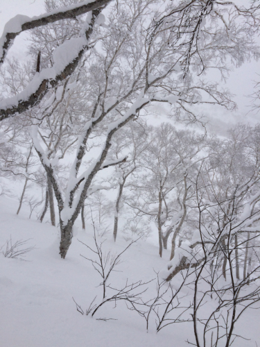 北海道7日目⭐️ ニセコ_c0151965_20010629.jpg
