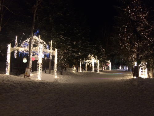 北海道8日目⭐️ルスツの夜 和食 かかし_c0151965_23181452.jpg