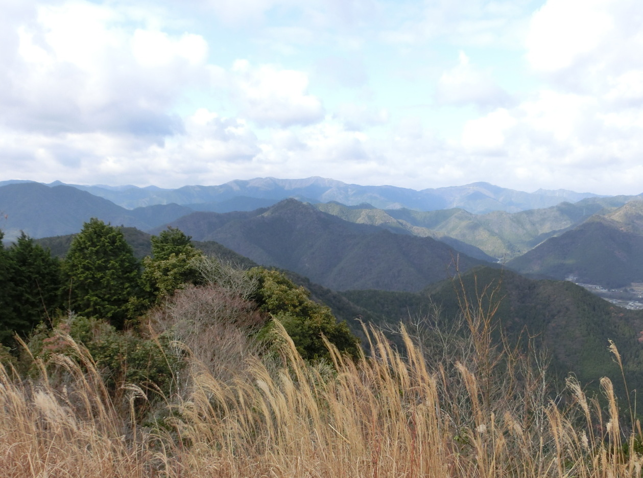 b0185573_1205996.jpg