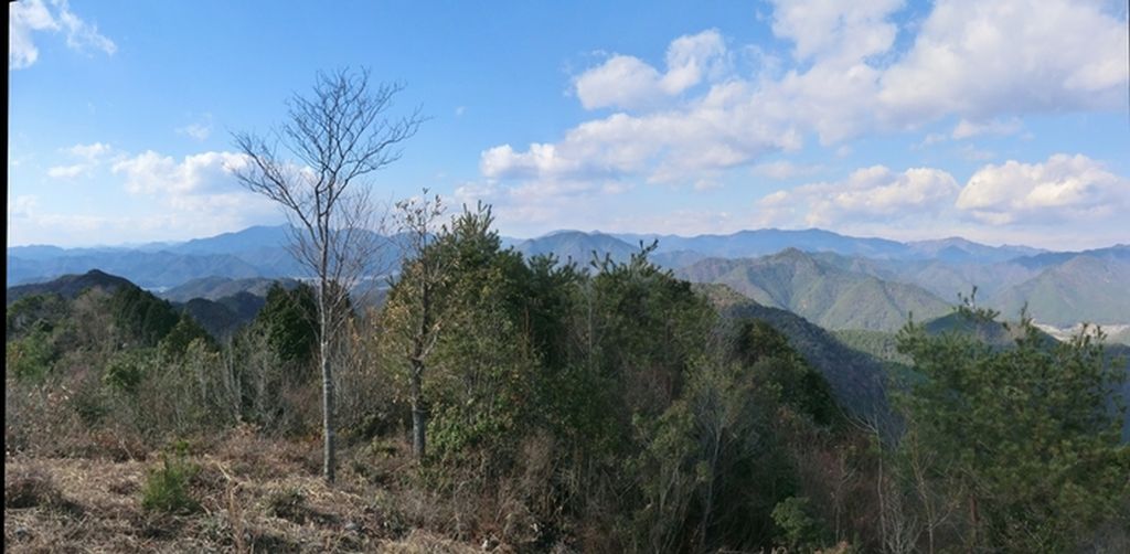 b0185573_12353681.jpg