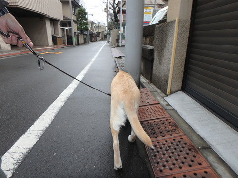 今日は寒さが突き刺さる _f0052277_154435.jpg