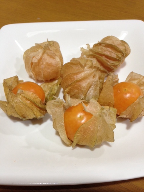 えっ ほおずきって食べられるの 野菜ソムリエコミュニティbangkok えっ ほおずきって食べられるの 野菜ソムリエコミュニティbangkok