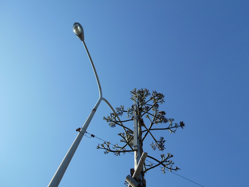 f0308898_20234414.jpg