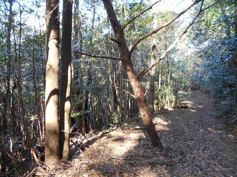 f0308898_2059276.jpg