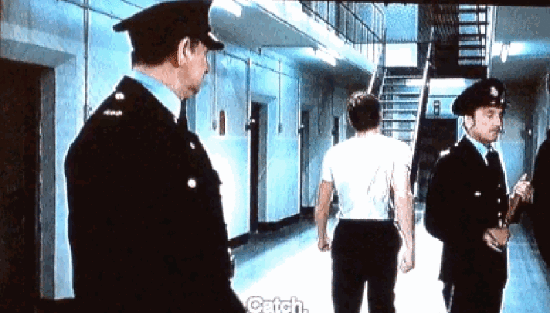 a0060003_23252821.gif