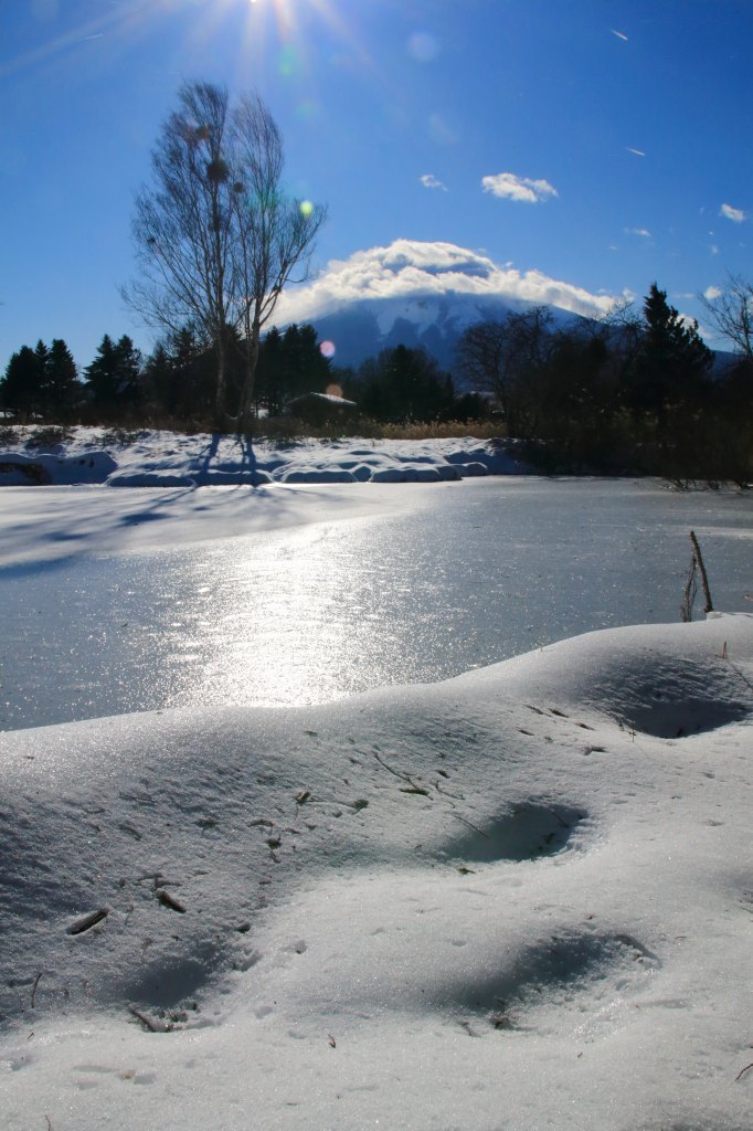 新雪の忍野鶴ｹ池_a0188405_02034447.jpg