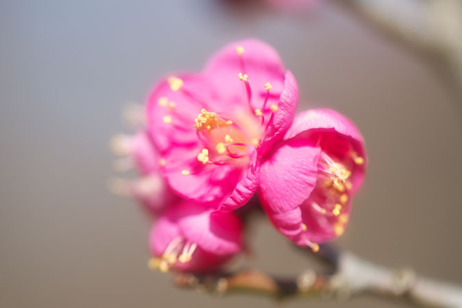 a0263109_16134391.jpg