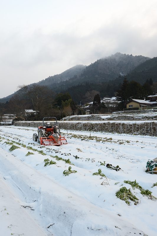 大原雪景色　其の四_f0032011_19254968.jpg