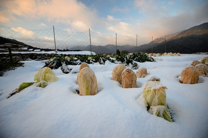 大原雪景色　其の四_f0032011_19255628.jpg