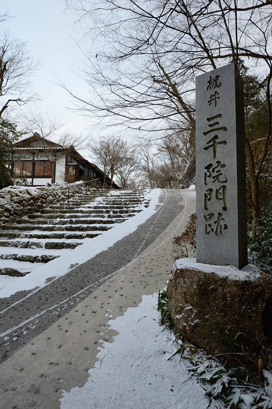 大原雪景色　其の四_f0032011_19261970.jpg