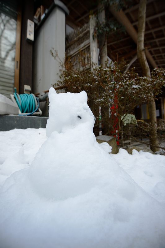 大原雪景色　其の四_f0032011_19264372.jpg