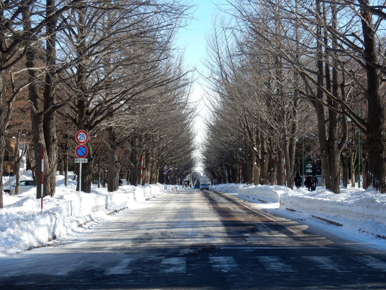 c0025115_19301548.jpg