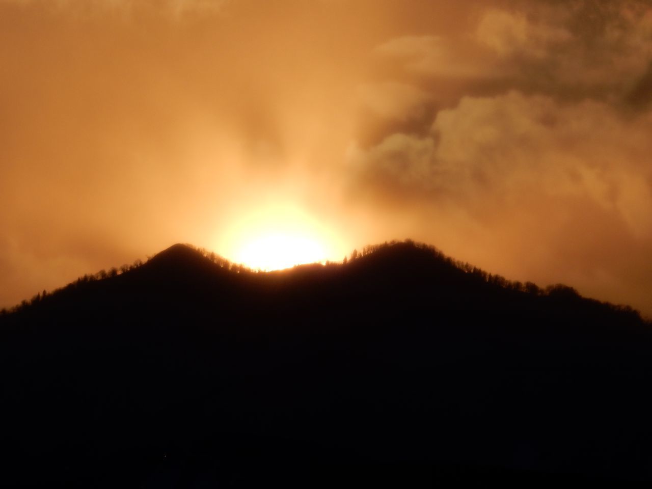 c0025115_19302990.jpg