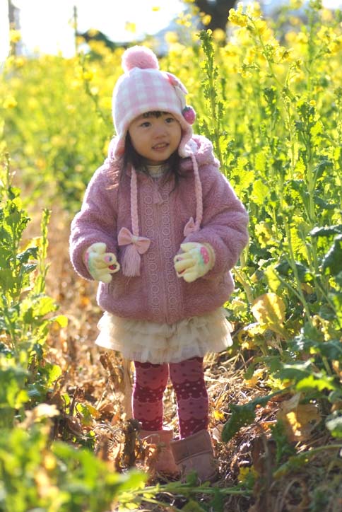 一か月早く咲いた菜の花畑で、Ａちゃんとララ♪・・・その②_b0075541_14461151.jpg