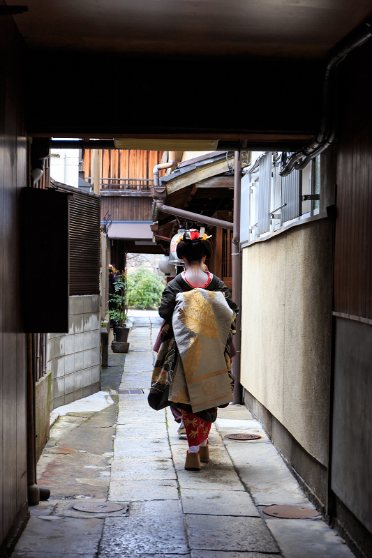 菊弥江さんお見世出し（宮川町）_f0155048_073271.jpg