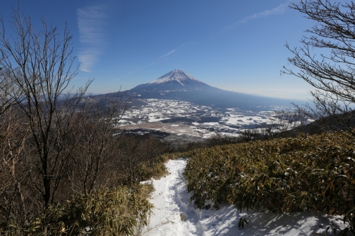 積雪の天子山地＠竜ヶ岳～雨ヶ岳 2016.01.27(水)_f0344554_00493093.jpg