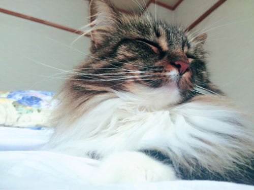 2週間ぶりのスノーボードOFF⭐️_c0151965_09574508.jpg