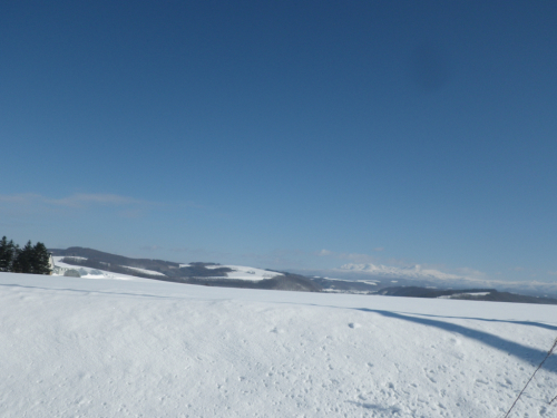d0335265_09315888.jpg
