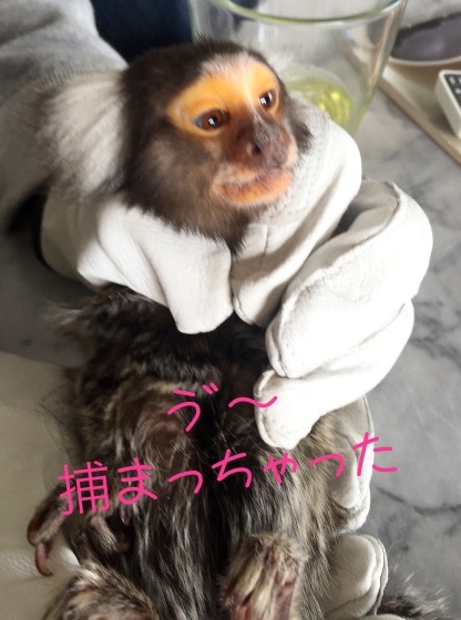 e0142065_21051744.jpeg