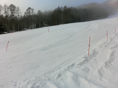 e0045768_22333730.jpg
