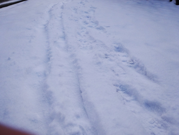 c0003493_11282378.jpg