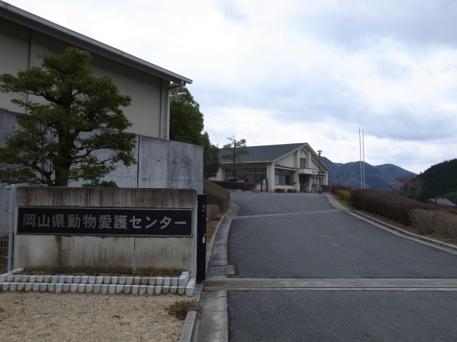 石上布都魂（いそのかみふつみたま）神社＠岡山県赤磐市石上 _f0197703_18033150.jpg