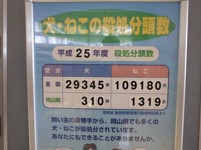 石上布都魂（いそのかみふつみたま）神社＠岡山県赤磐市石上 _f0197703_18041796.jpg