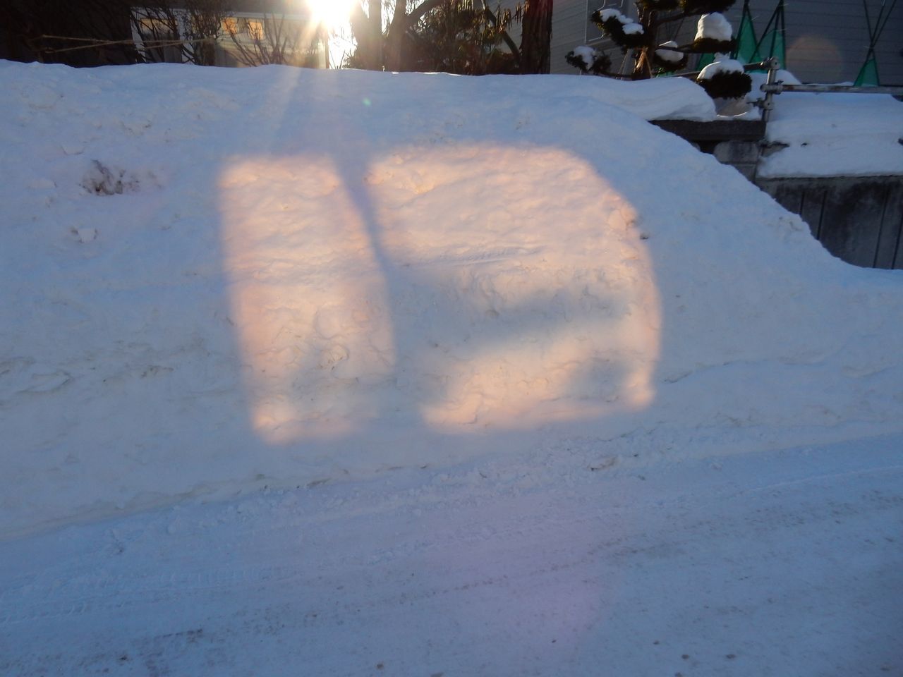 c0025115_20052499.jpg