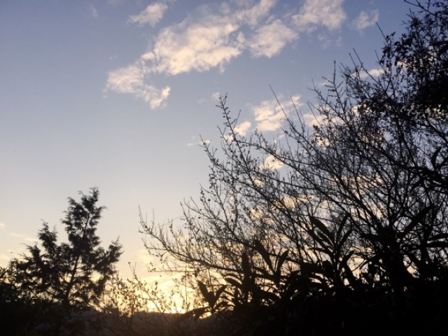 c0359831_17271748.jpg